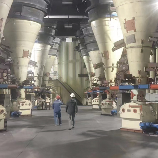 耐壓式皮帶稱(chēng)重給煤機(jī)